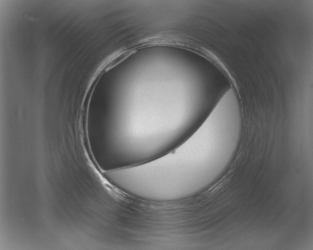 X0000052581434200507010902