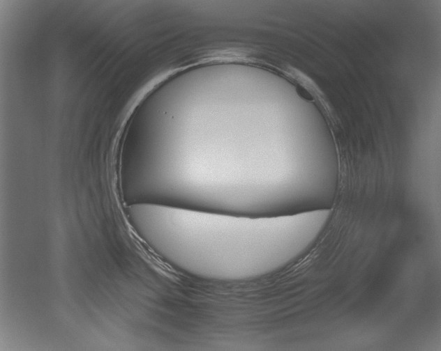 X0000052581435200507010902