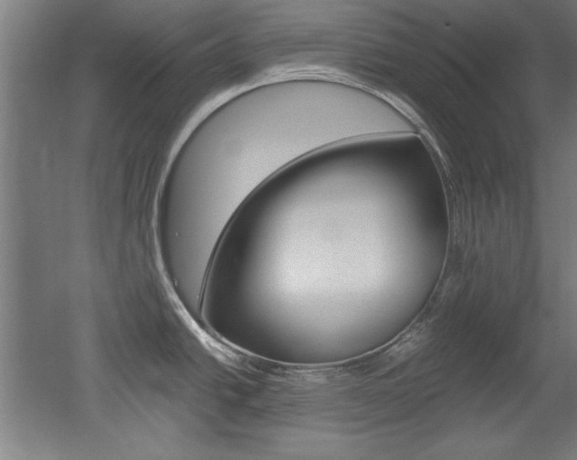 X0000052581438200507010902