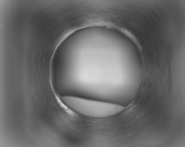 X0000052581439200507010902