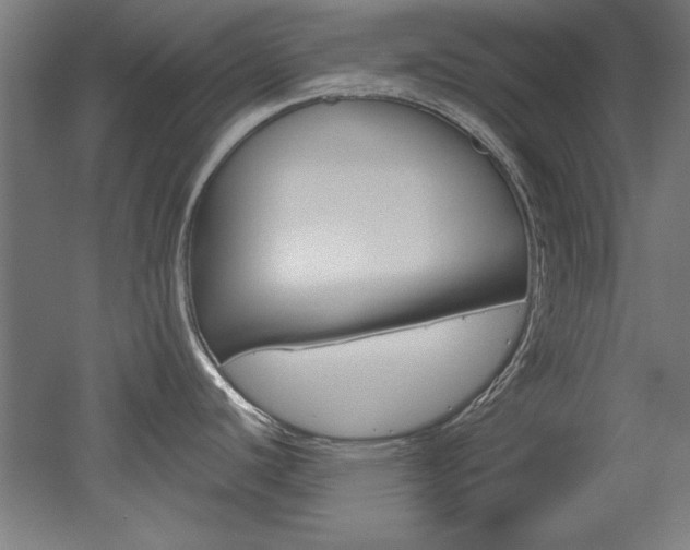 X0000052581440200507010902