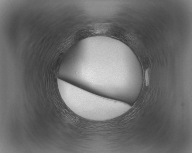 X0000052581443200507010901