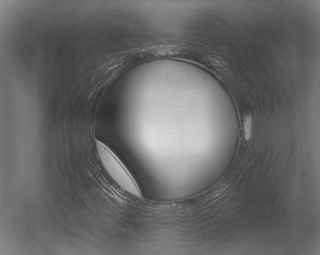 X0000052581444200507010901