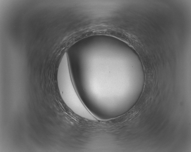 X0000052581445200507010901
