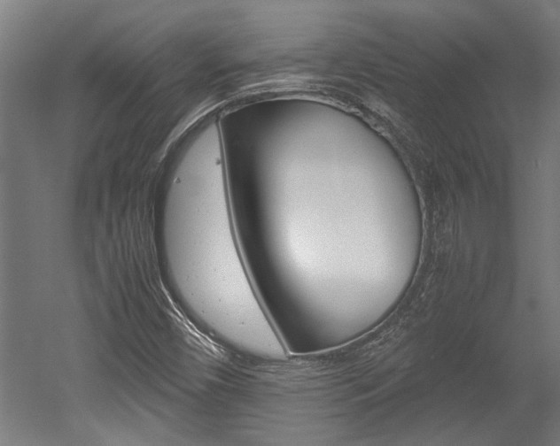 X0000052581450200507010901