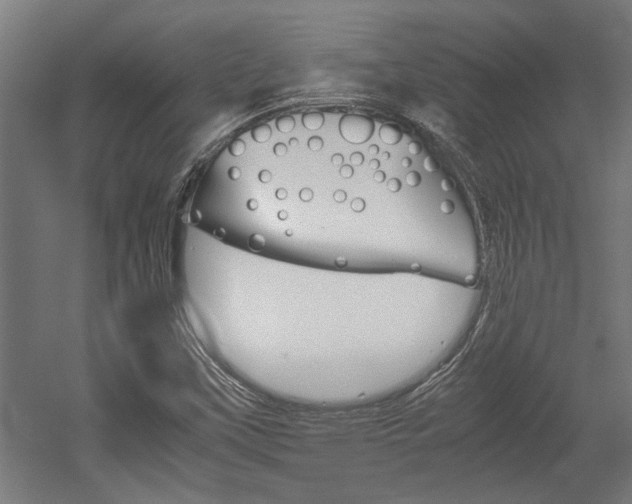X0000052581451200507010901