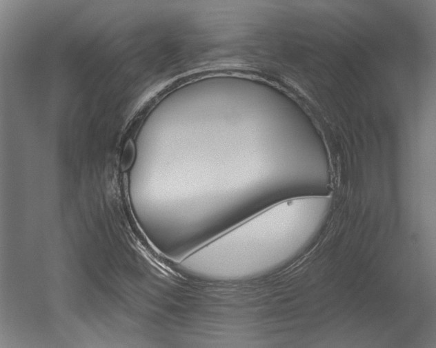 X0000052581452200507010901
