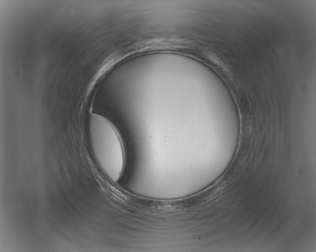 X0000052581459200507010901