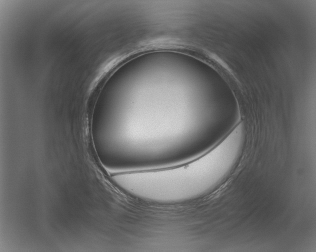 X0000052581461200507010901