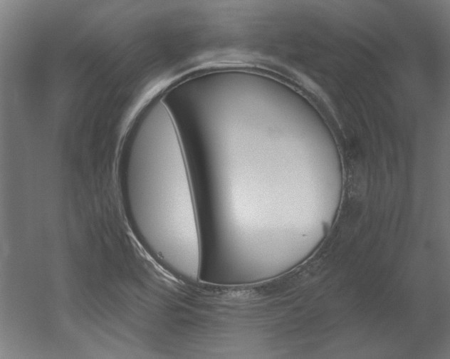 X0000052581464200507010901