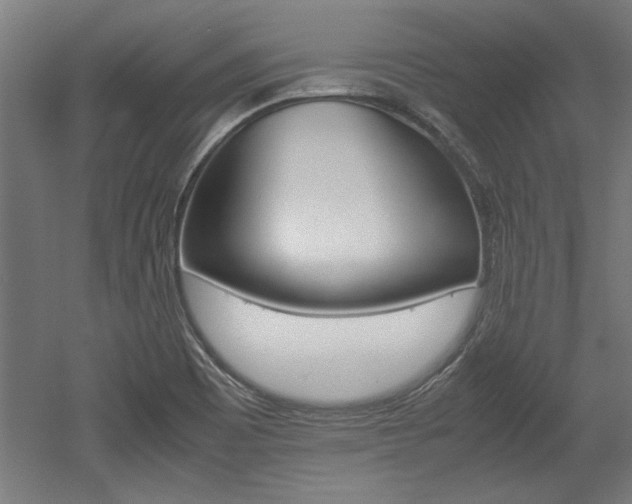 X0000052581465200507010901