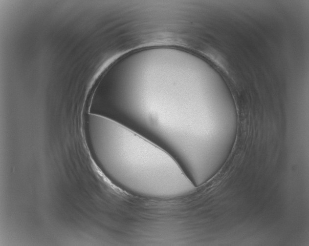 X0000052581468200507010901