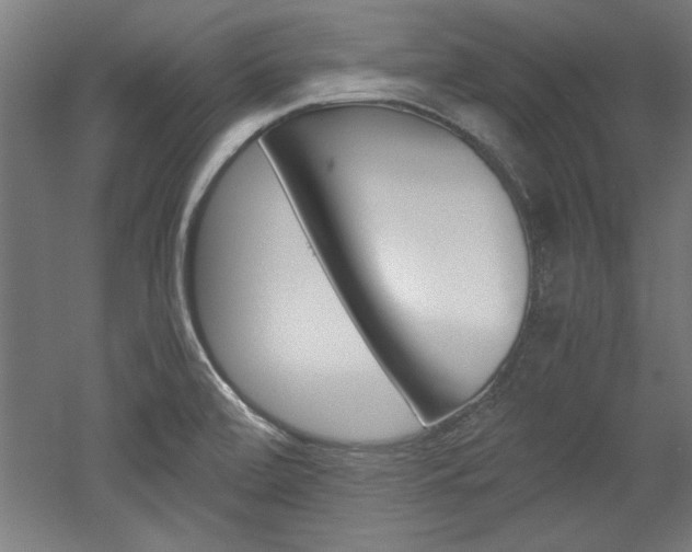 X0000052581472200507010901