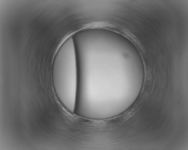 X0000052581473200507010901