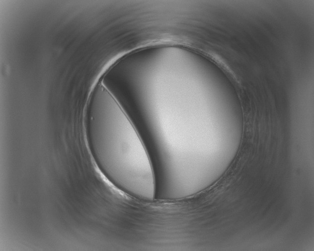 X0000052581476200507010900