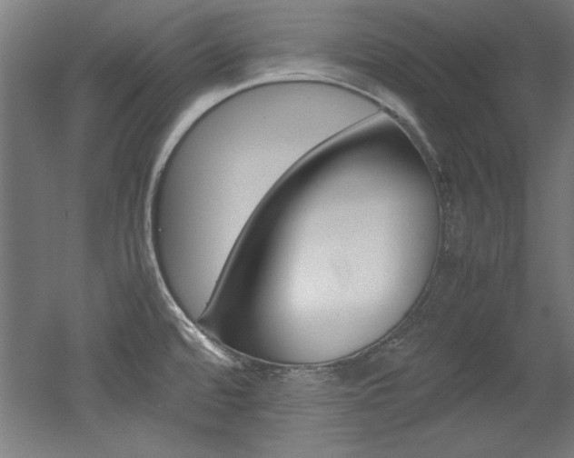 X0000052581480200507010900