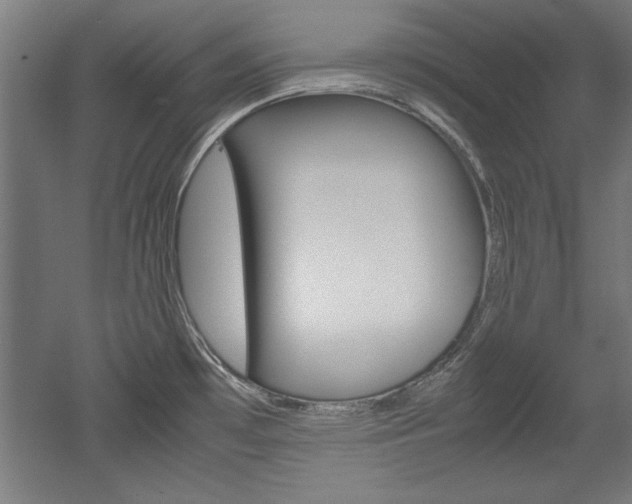 X0000052581481200507010900