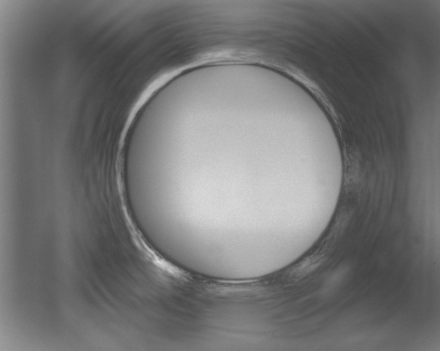 X0000052581486200507010900