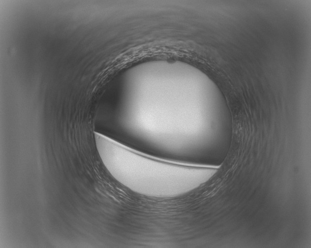 X0000052581490200507010859