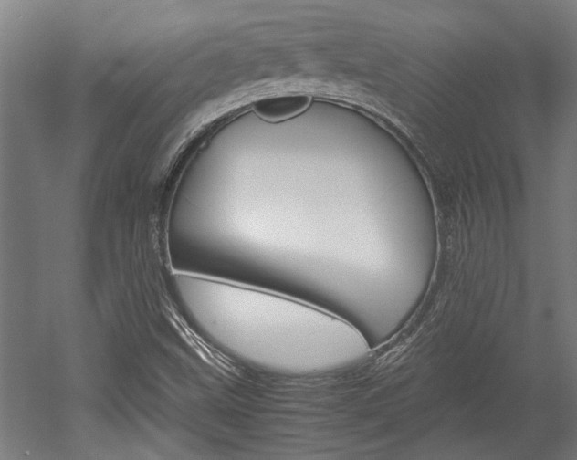 X0000052581499200507010900