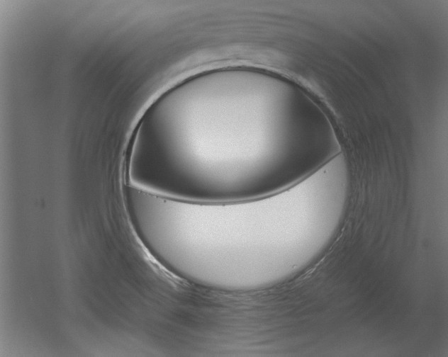X0000052581516200507010900