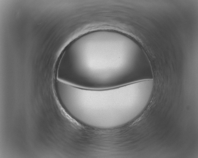 X0000052581518200507010900