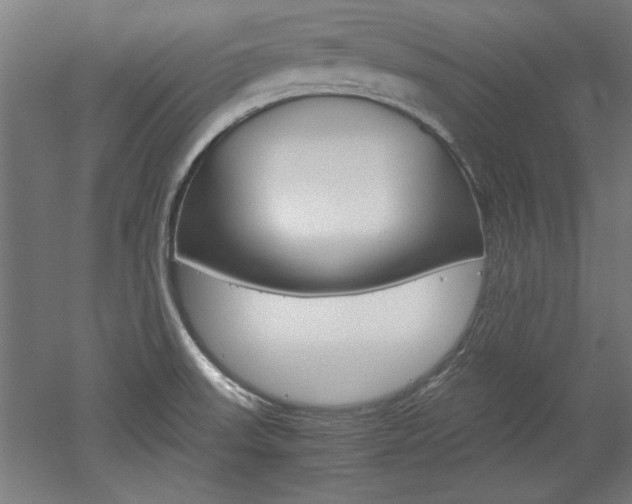 X0000052581523200507010900
