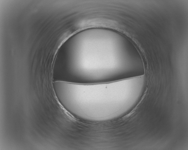 X0000052581529200507010900