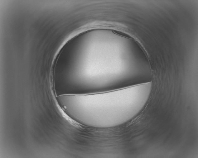 X0000052581531200507010900