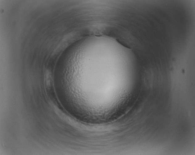 X0000052580038200507011257