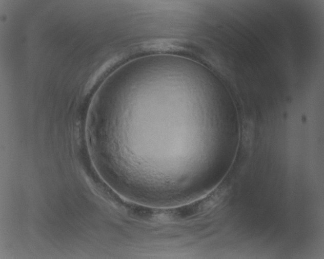 X0000052580111200507011256