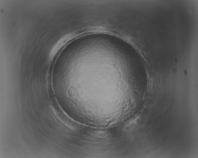 X0000052580151200507011255