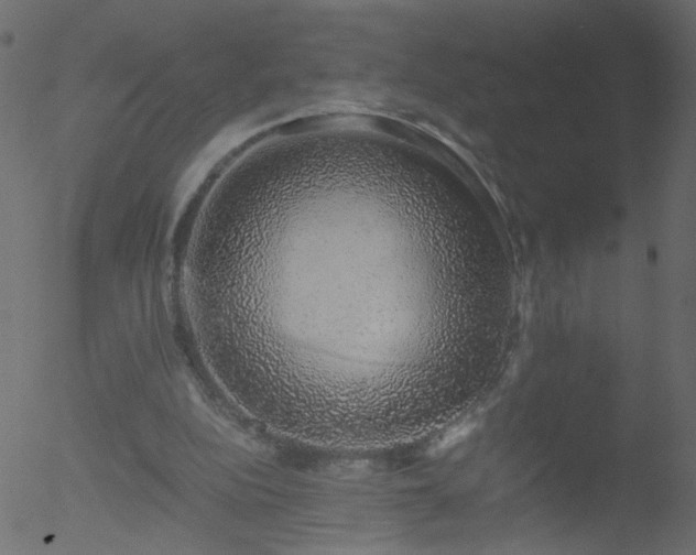 X0000052580152200507011255