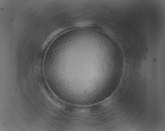X0000052580155200507011255