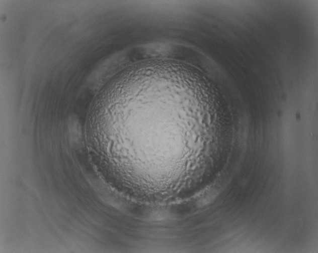 X0000052580173200507011255