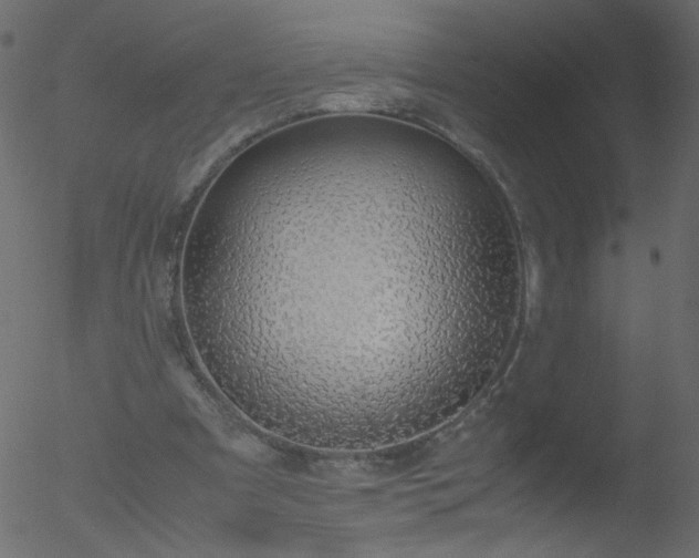 X0000052580297200507011253