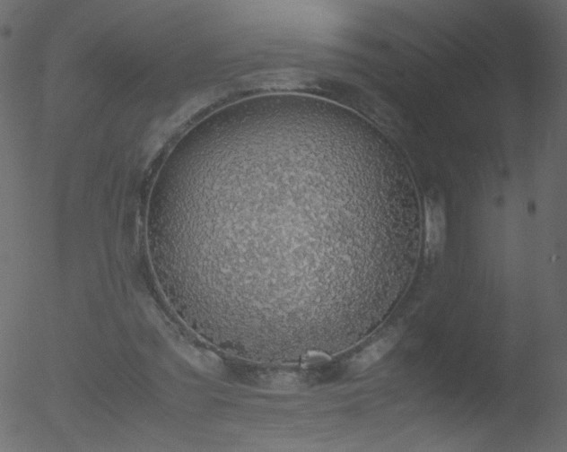 X0000052580301200507011253