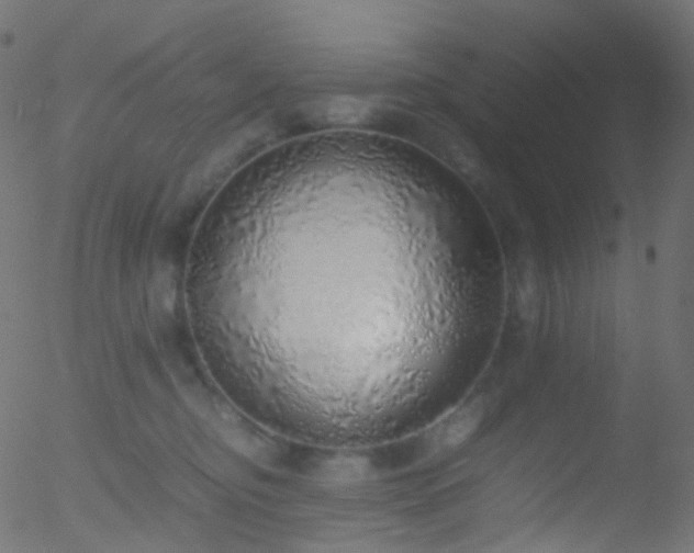 X0000052580374200507011252