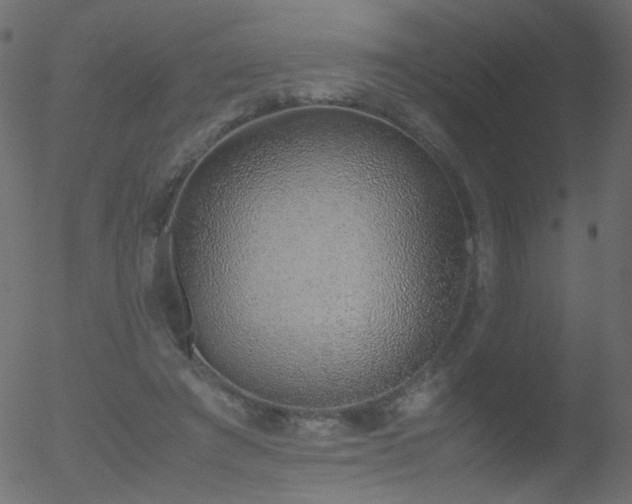 X0000052580401200507011251