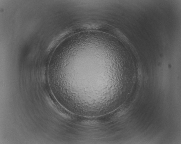 X0000052580537200507011248