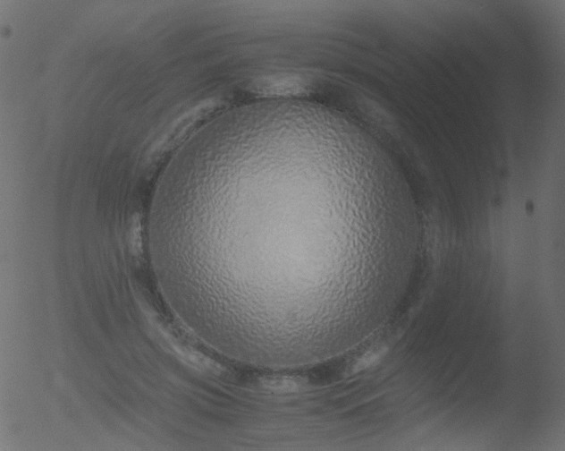 X0000052580549200507011248