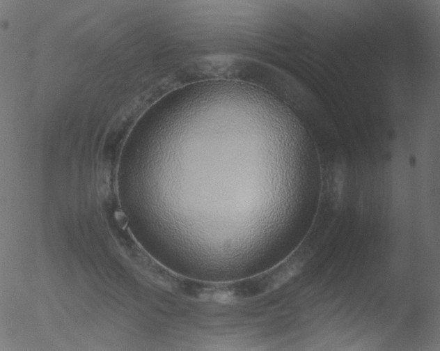X0000052580602200507011248