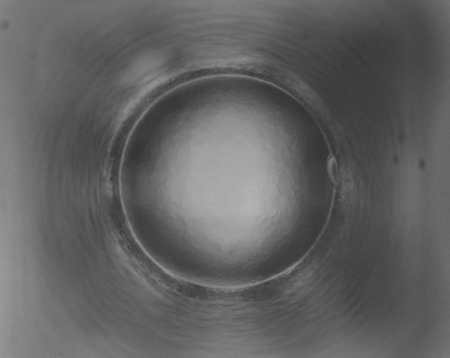 X0000052580628200507011247