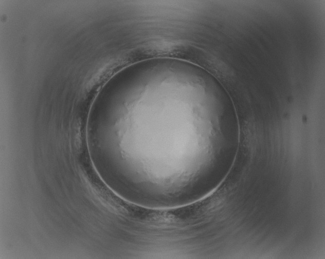 X0000052580642200507011247
