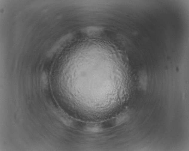 X0000052580667200507011247