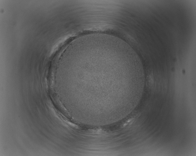 X0000052580688200507011246