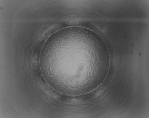 X0000052580737200507011245