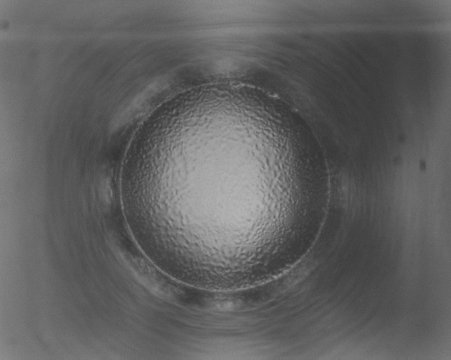 X0000052580746200507011245