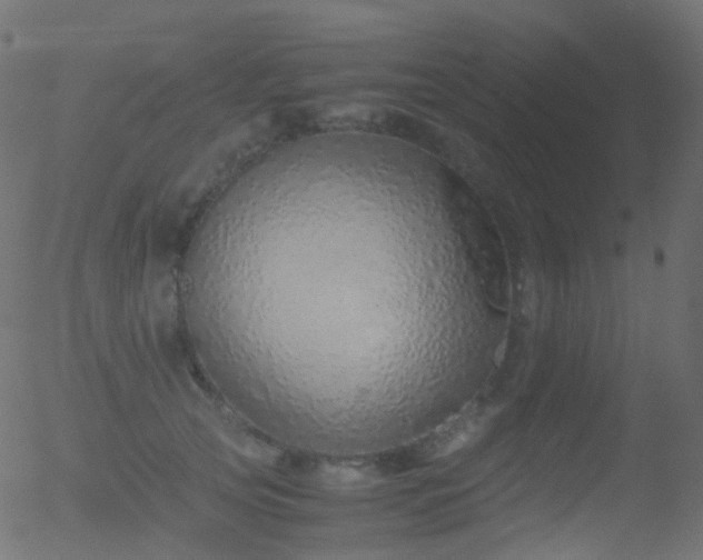 X0000052580753200507011246
