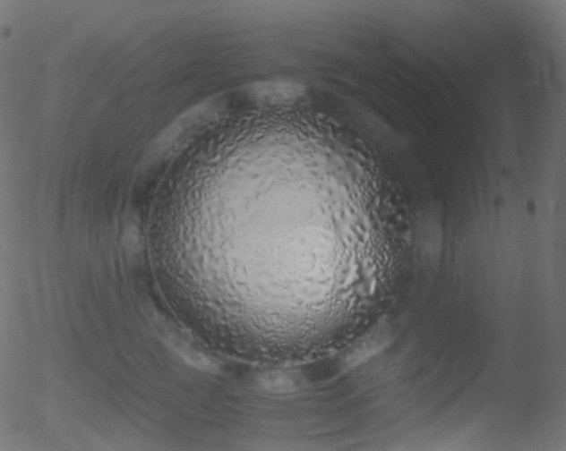 X0000052580761200507011246
